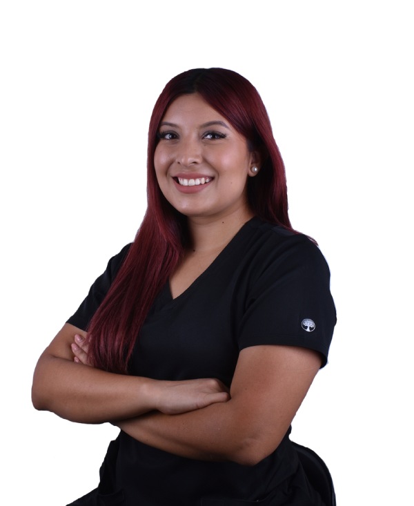 dr-luis